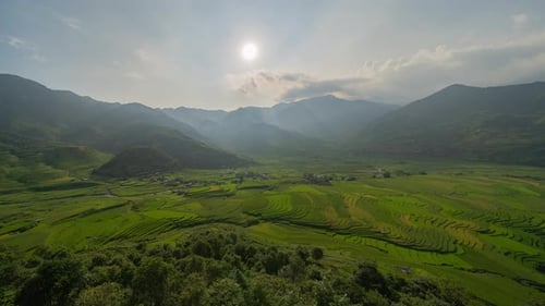 Time lapse of paddy rice terraces, green agricultural fields in Vietnam.