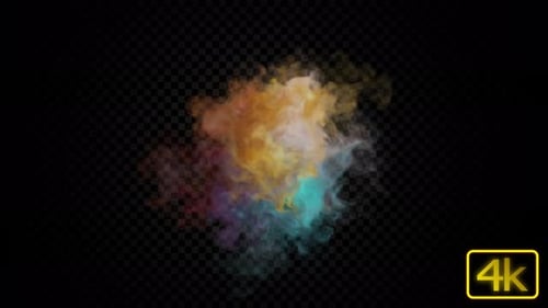 Vibrant Fluid Ink Reveal Overlay