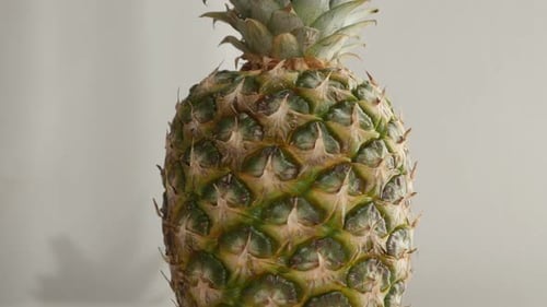 Tilting on Ananas comosus 4K 2160p 30fps UltraHD footage - Close-up of fresh exotic pineapple fruit
