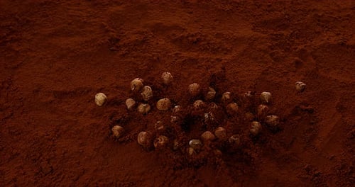 Hazelnuts Falling in Black Chocolate Powder, Slow Motion 4K