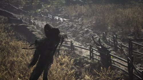 Scarecrow on the Old Village Field