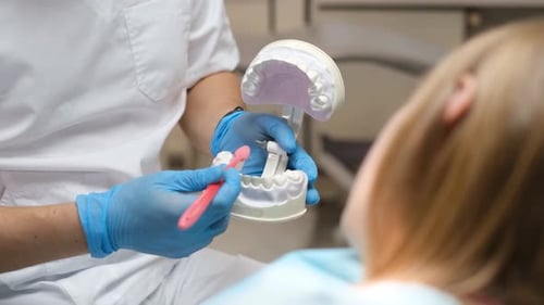 An Orthodontist Shows How to Brush your Teeth Properly with a Toothbrush
