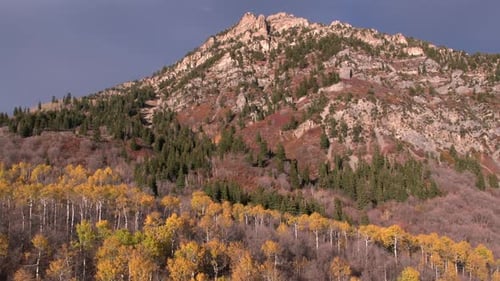 Aerial view of a colorful forest in the mountains during the fall.