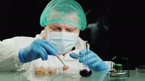 Scientist Testing Meat in a Laboratory with Tweezers