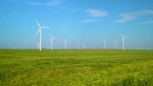 Green wheat field in motion with wind turbines in the background. Wind Farm Turbines in wheat field.