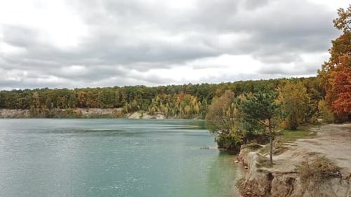 Lake near Forest
