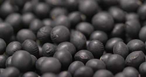 Black soy bean
