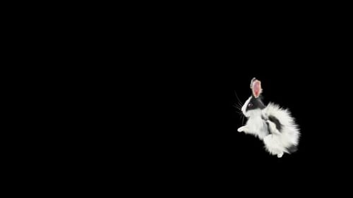 59 Hase Frontklappe HD