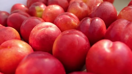 Vibrant Close Up of Fresh, Red Nectarines