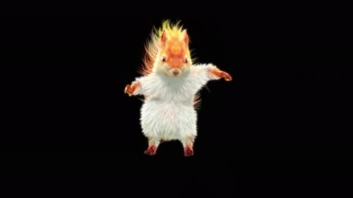 76 Ardillas blancas bailando en 4K