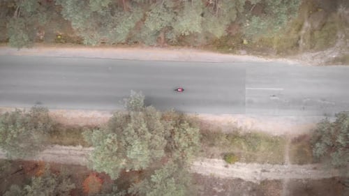 Cyclist Rides on Road Through Lush Forest