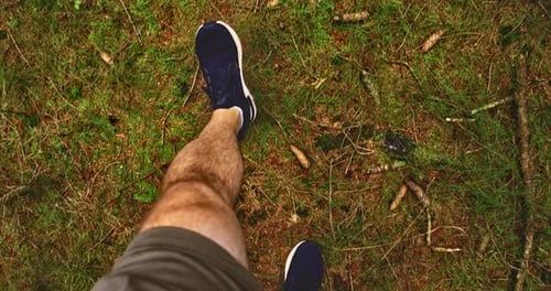 Camera Operator Walking Through Forest