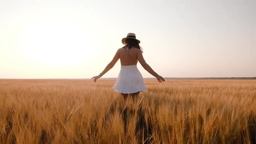 Happy Free Young Woman Dancing and Spinning Around in Slow Motion Across Field Touching Ears of