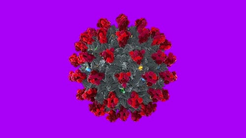 Covid 19 Sars Cov 2 Virus Model Spike Proteins Purple Screen Seamless Loop