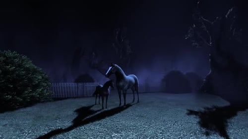 Cheval et poulain