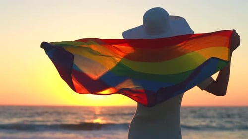 Silhouette of Person with Rainbow Flag on Beach