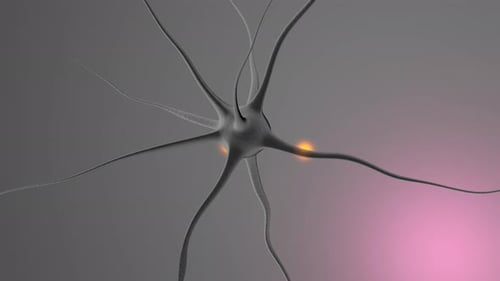 3D rendered Animation of a neural cell