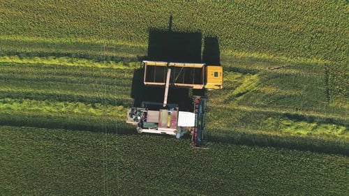 Combine Harvester and Truck Harvesting Crop from Above