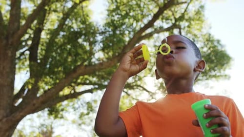 Boy Blowing Bubbles Outside on a Sunny Day