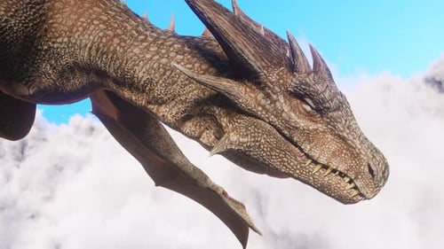 White Haired Female Warrior Knight Flies on a Dragon