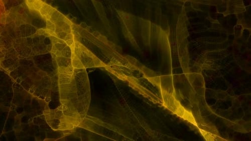 Goldenes transparentes Netzwerk