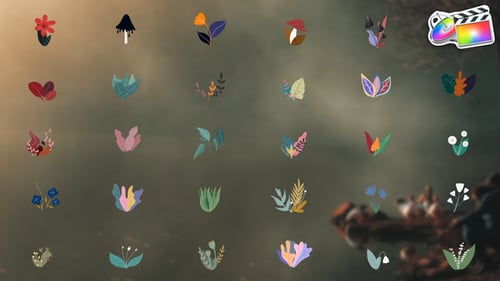 Cartoon Flowers Liquid Motion for FCPX