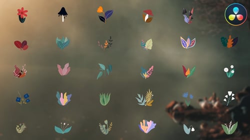 Cartoon Flowers Liquid Motion for DaVinci Resolve