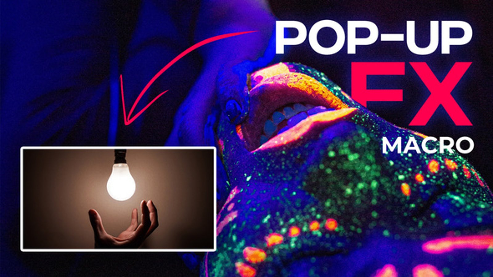 Dynamic Pop-Up Media Frames Motion Graphics, Elements ft. effects & pop ...