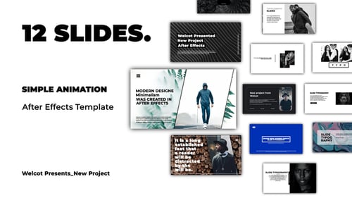 Typography Slides | After Effects