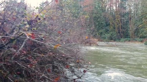 Schnelllebiger Fluss im Herbst.