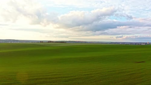 Bright Green Field with Beautiful Clouds