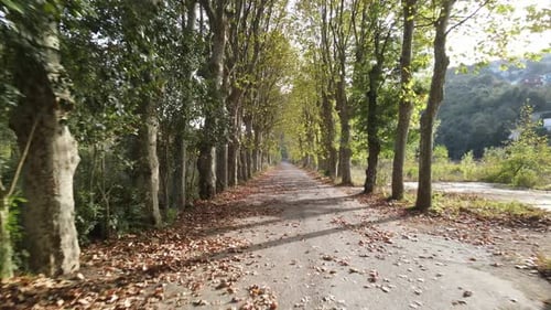 Herbst-Straße