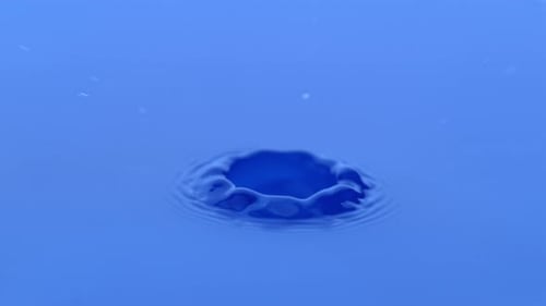 Liquid Drop Creates Ripples in Blue Water