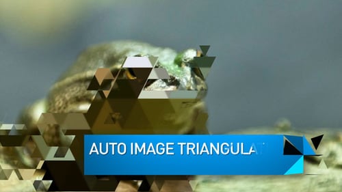 Triangulate Slideshow