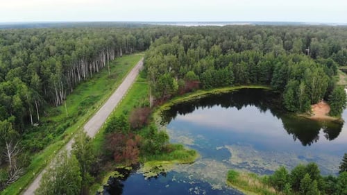 Luftbewegung über dem Blauen Teich in der Nähe der Landstraße und Vogelschwarm fliegt über Teich Russland
