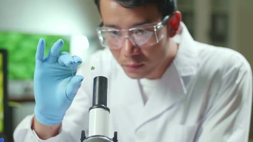 Un científico observa una muestra de prueba de análisis de hojas para un experimento biológico con plantas orgánicas