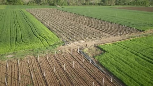 Vue aérienne des champs gazonnés entourés de végétation et de collines.