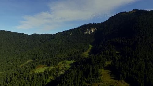 Valley With Forest