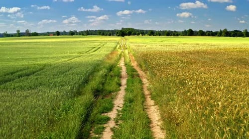 Aerial View of Rural Dirt Road Through Fields