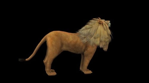 3D Animated Lion Roaring Seamless Loop