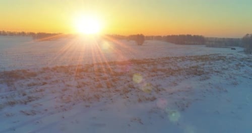 Aerial Drone View of Cold Winter Landscape with Arctic Field Trees Covered with Frost Snow and