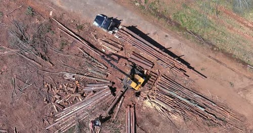 Luftaufnahme beim Verladen von Baumstämmen, auf die ein Holz für LKW