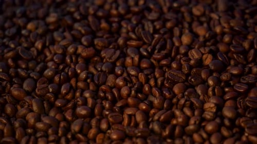 Pile of Dark Roasted Coffee Beans Close Up
