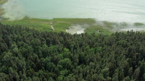 Lake and Forest Aerial