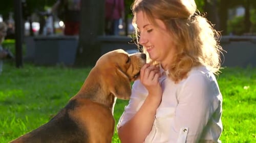 Woman with Her Beautiful Beagle in Park. Slow Motion