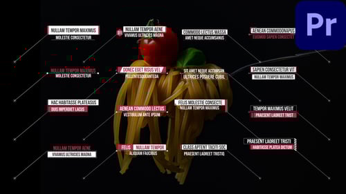 16 Call Out-Titel MOGRTs für Premiere Pro
