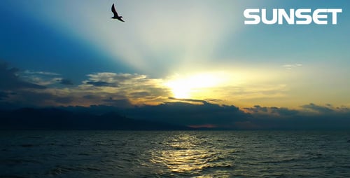 Golden Sunset on Ocean Water, Birds Flying