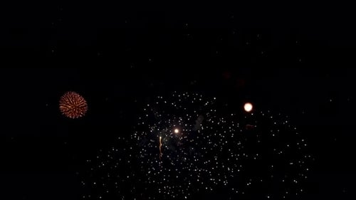 Fireworks Exploding in the Night Sky