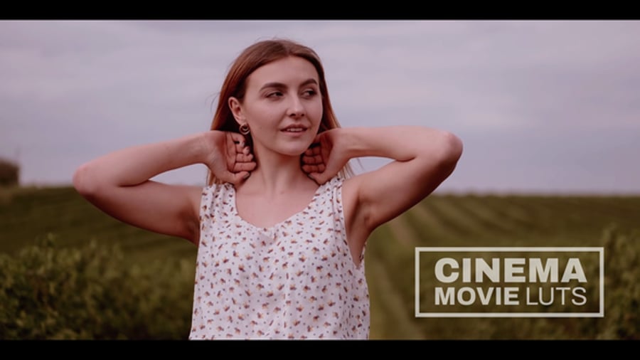 Cover for Cinema Movie Luts