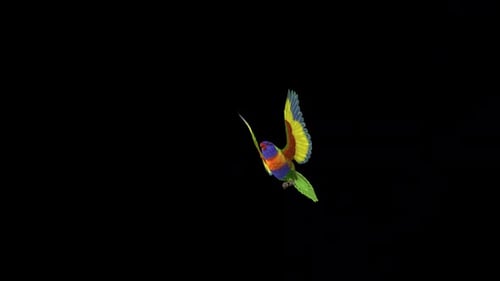 Colorful Animated Parrot Flying with Alpha Channel